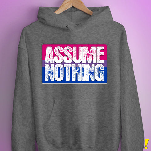 Assume Nothing Bisexual Pride Flag Hoodie - Grey Heather
